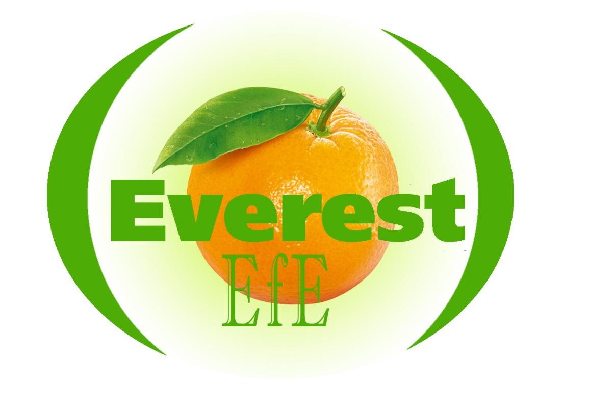 Fresh fruits and Vegetables from Egypt